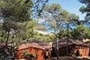 キャンプ場 Torre De La Mora 2*