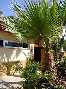 キャンプ場 Torre De La Mora COSTA DORADA